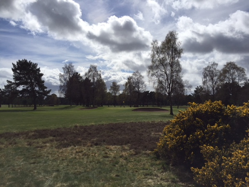 sachin and babi light blue dress Our Tournaments :: Walton Heath Golf Club